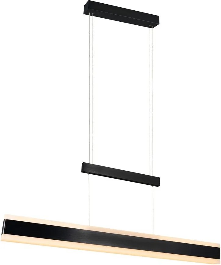 Matt fekete LED függőlámpa fém búrával Arcola – Trio