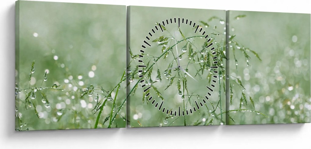Kép - Reggeli harmat a fűszálakon (órával) (90x30 cm)