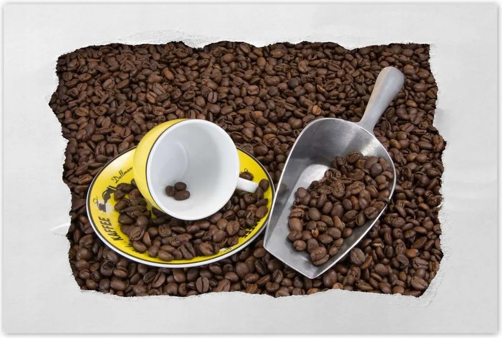 Poszterek 90x60 Természetes kávé szemes