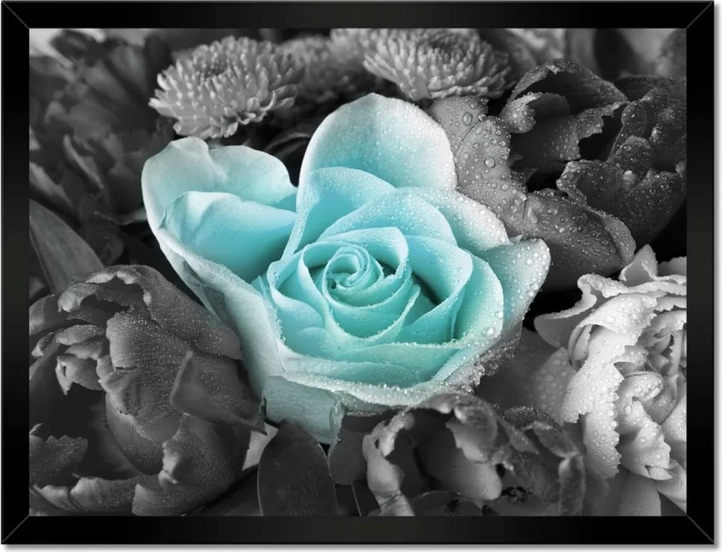 Poszter keretben 40x30 Türkiz rózsa
