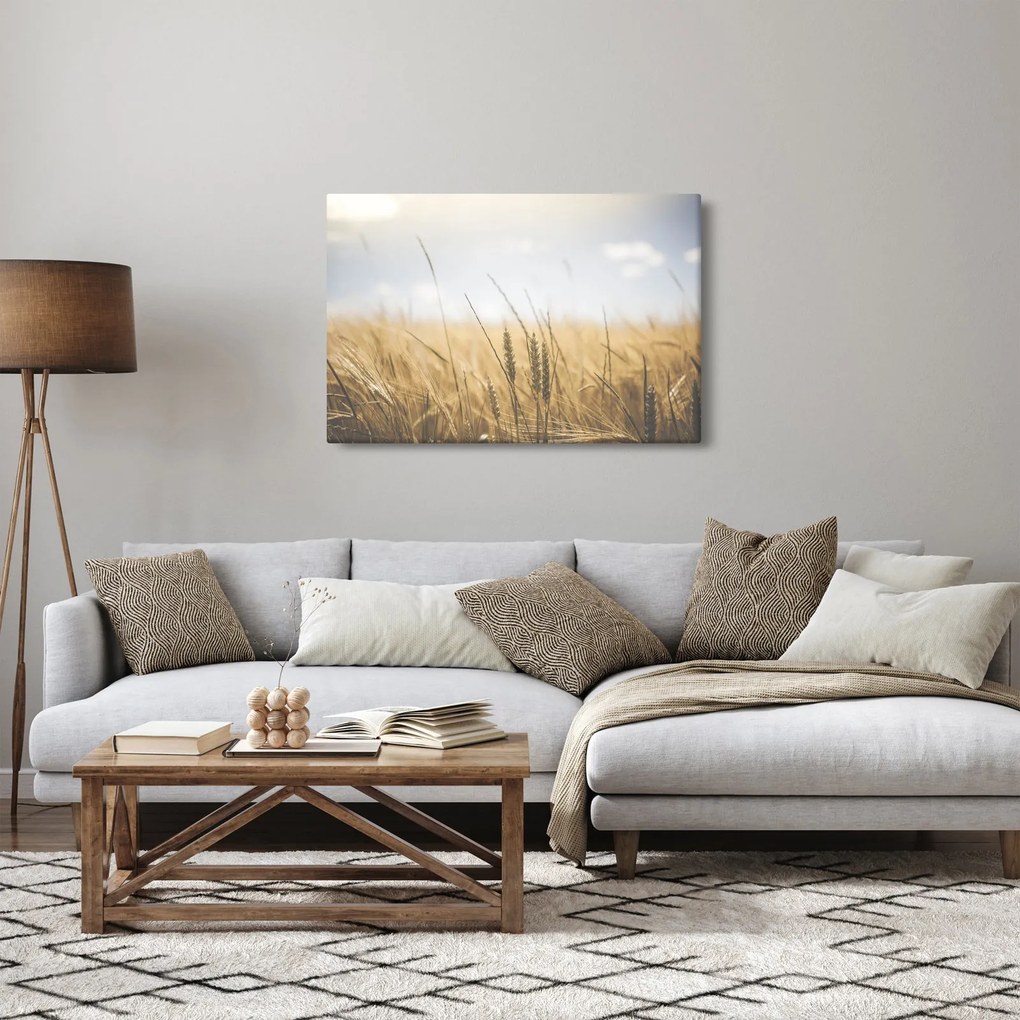 A gabona képe (90x60 cm)