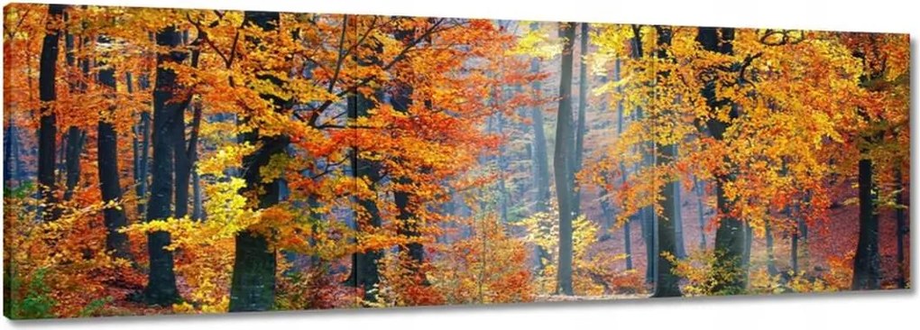 Vászonkép 150x50 Arany ősz