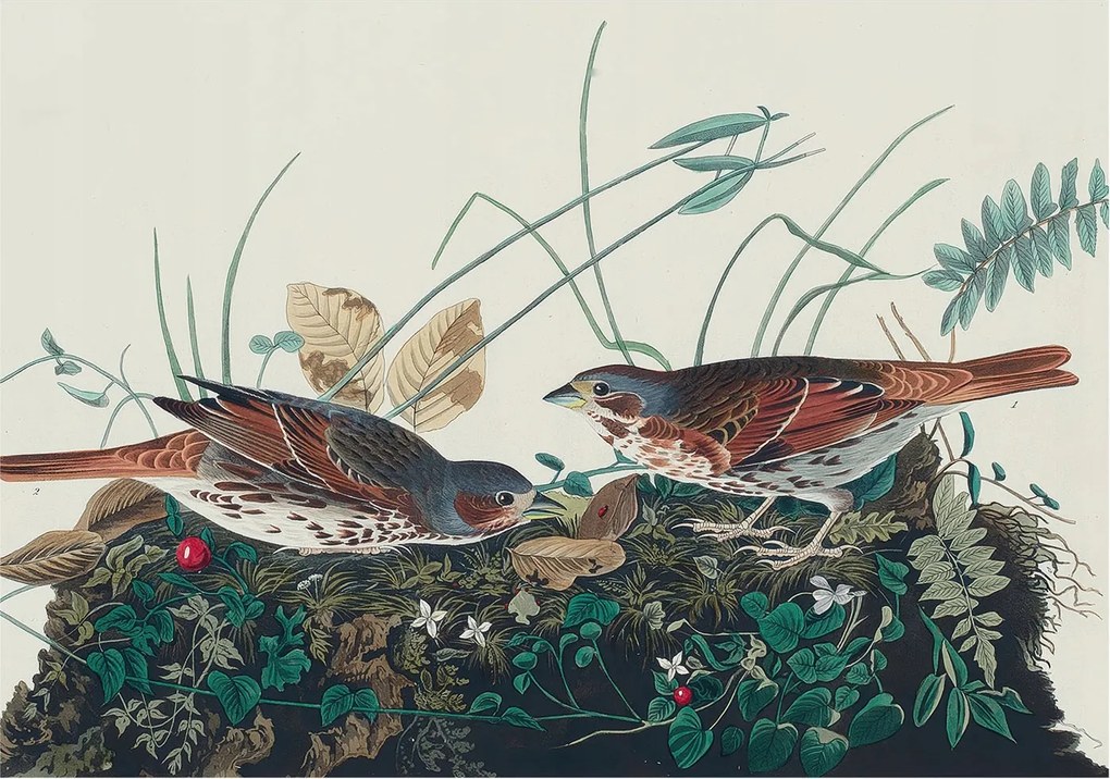 Flizelin fotótapéta Flizelin Design A természet varázsa 312x219 Ragasztó