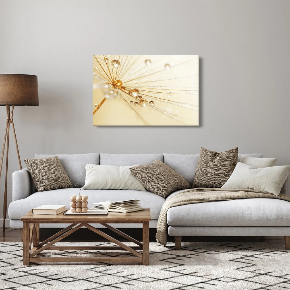 Kép - Makro fotó pitypangról (90x60 cm)