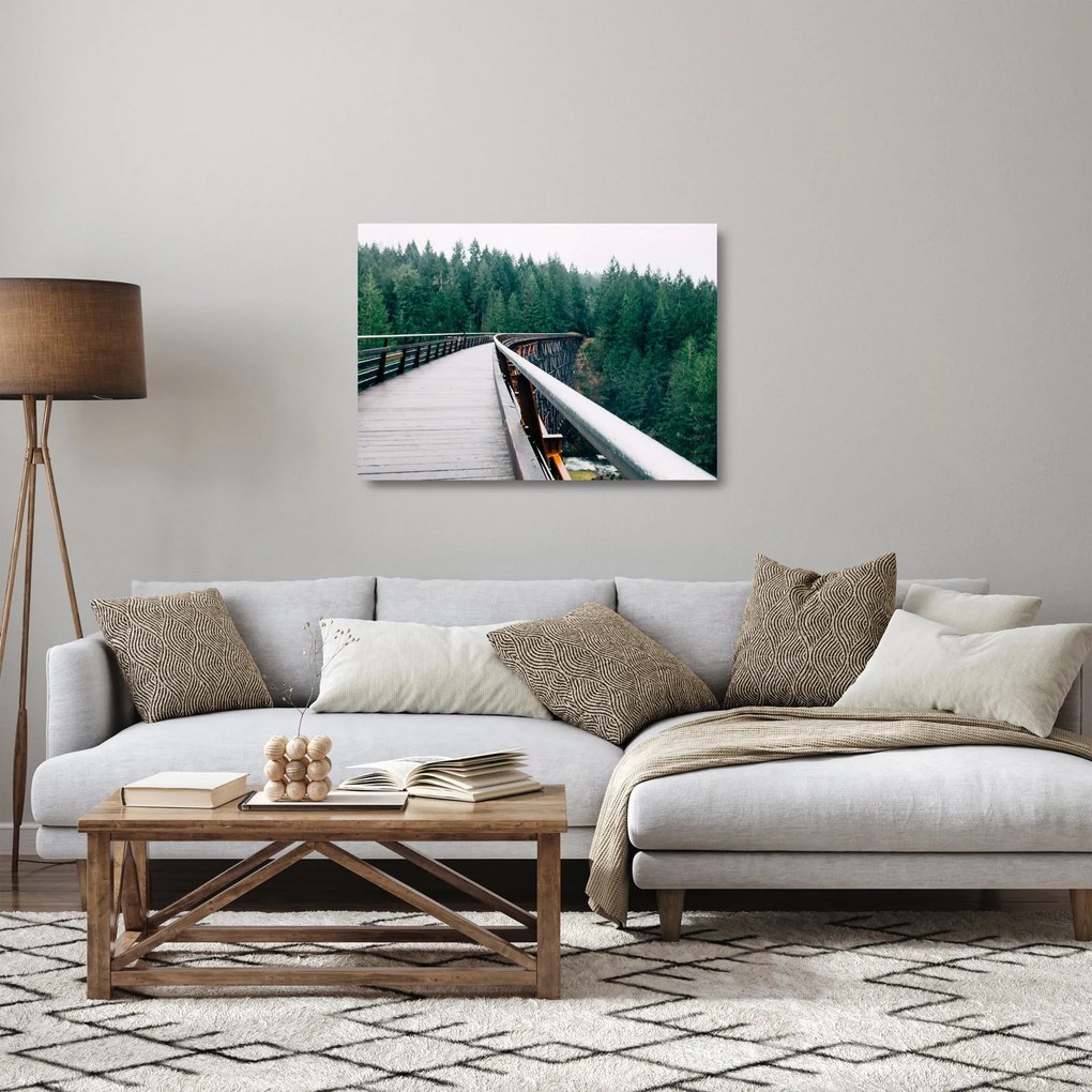 Kép - Híd a fák csúcsán (üvegen) (70x50 cm)