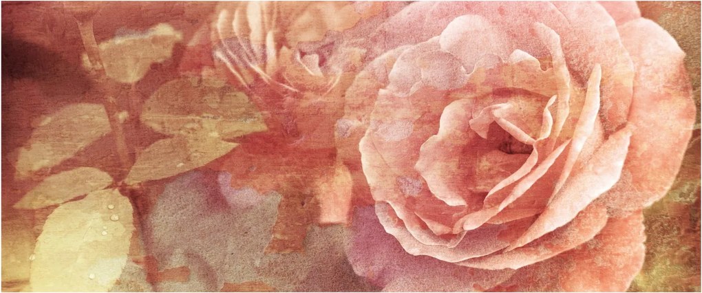 Rózsák képe (120x50 cm)