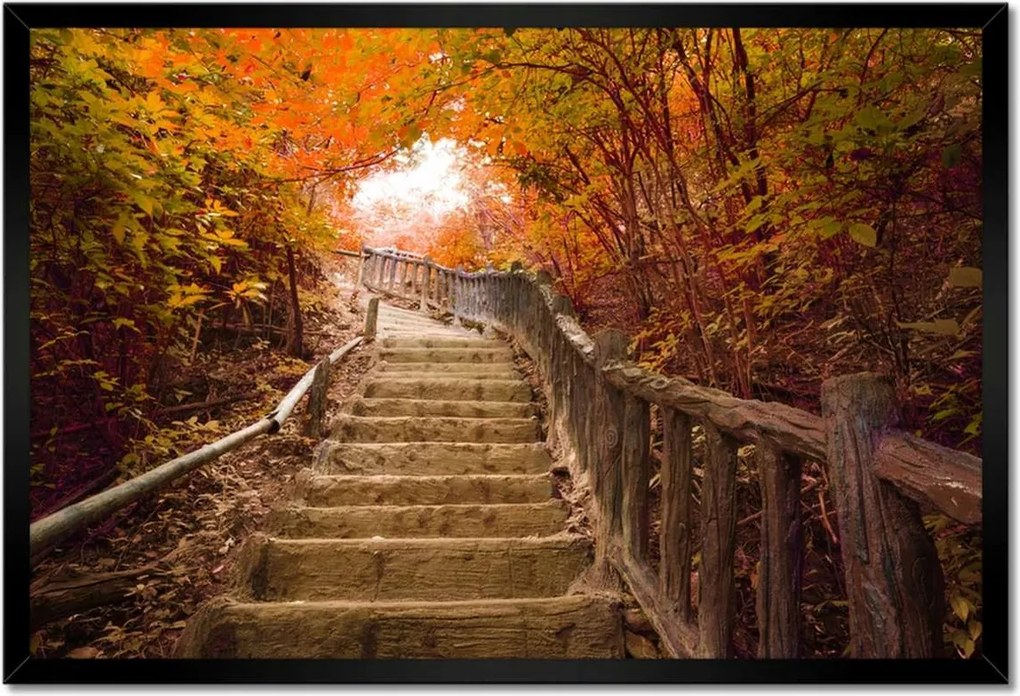 Poszterek keretben 60x40 Őszi séta Lépcsők