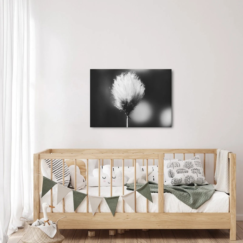 Kép - Fekete-fehér pamutfű (70x50 cm)