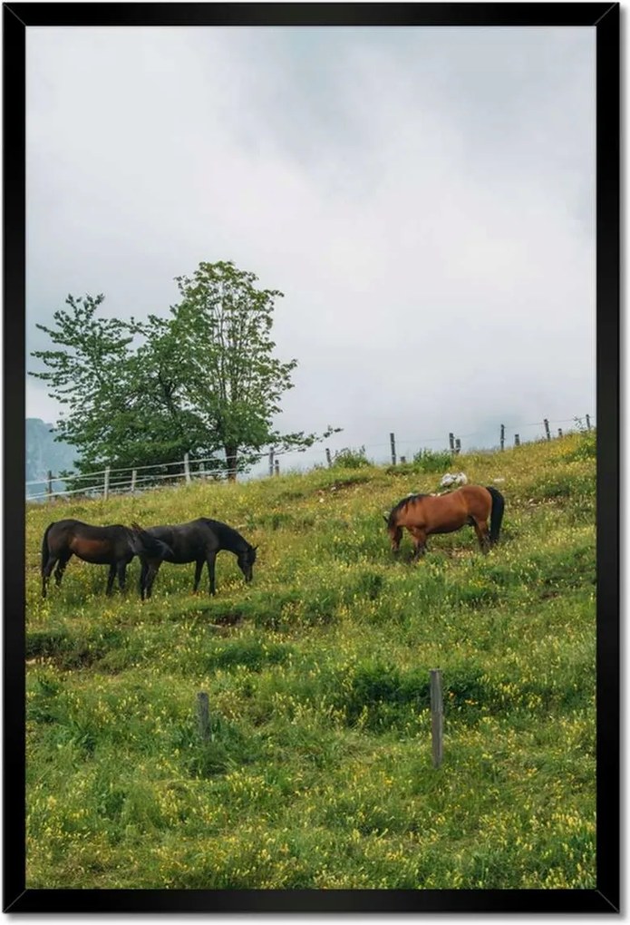 Poszterek keretben 40x60 Tájképek Kilátások Tájképek