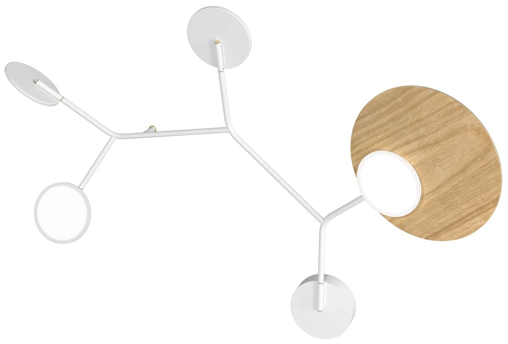 Ballon 5 B fali lámpa, többféle változatban - TUNTO Modell: fekete keret és burkolat, diófa rétegelt lemez panel