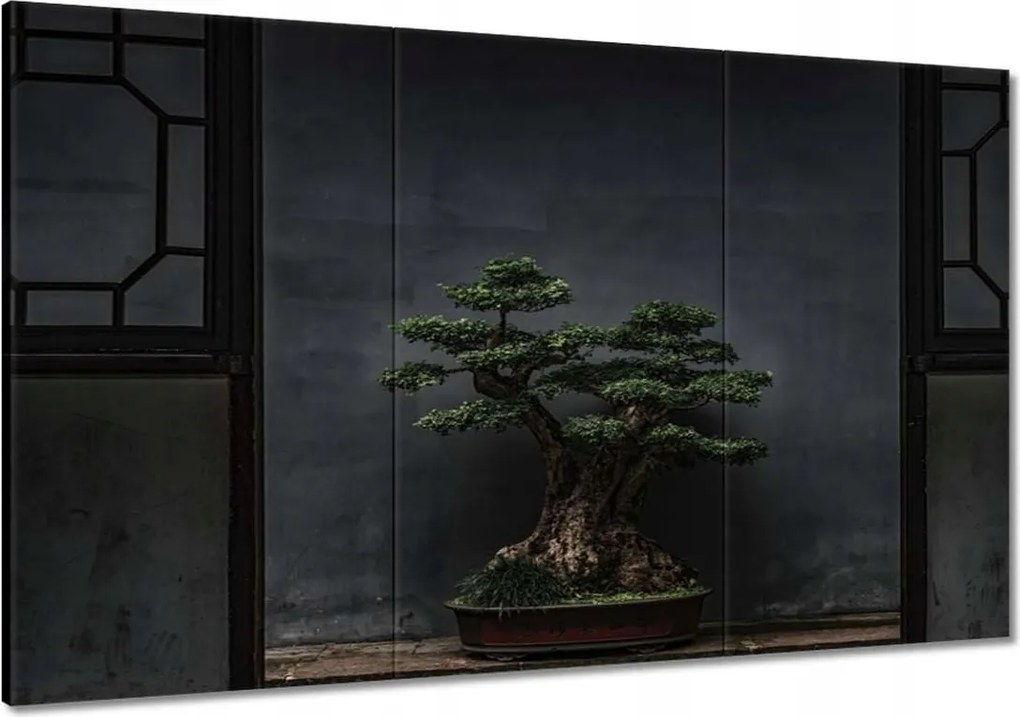 Festmények 120x80 Bonsai Fa Kultúra