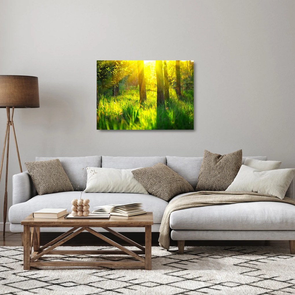 Kép - Az erdő tavaszi ébredése (üvegen) (70x50 cm)