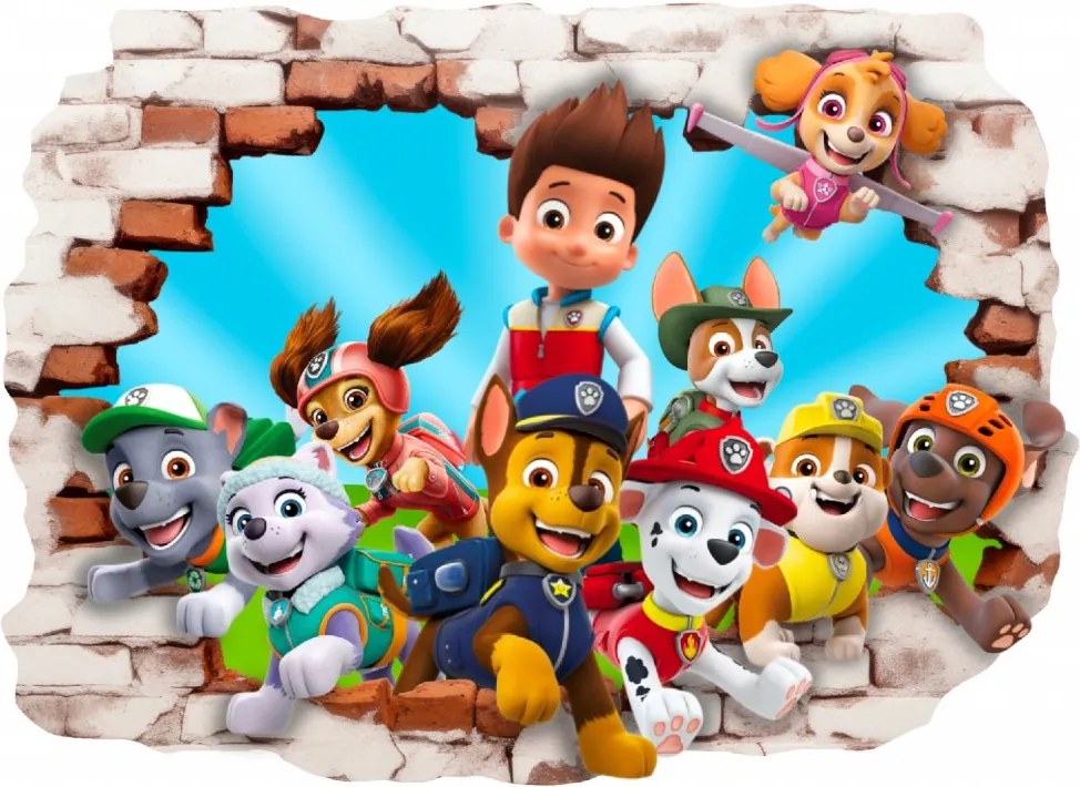 Falmatrica "PAW Patrol" 80x60cm