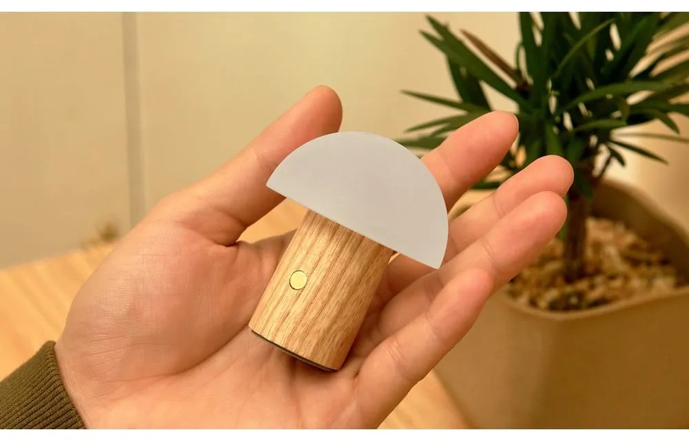 Natúr színű kőrisfa LED dimmelhető asztali lámpa (magasság 7 cm) Alice – Gingko