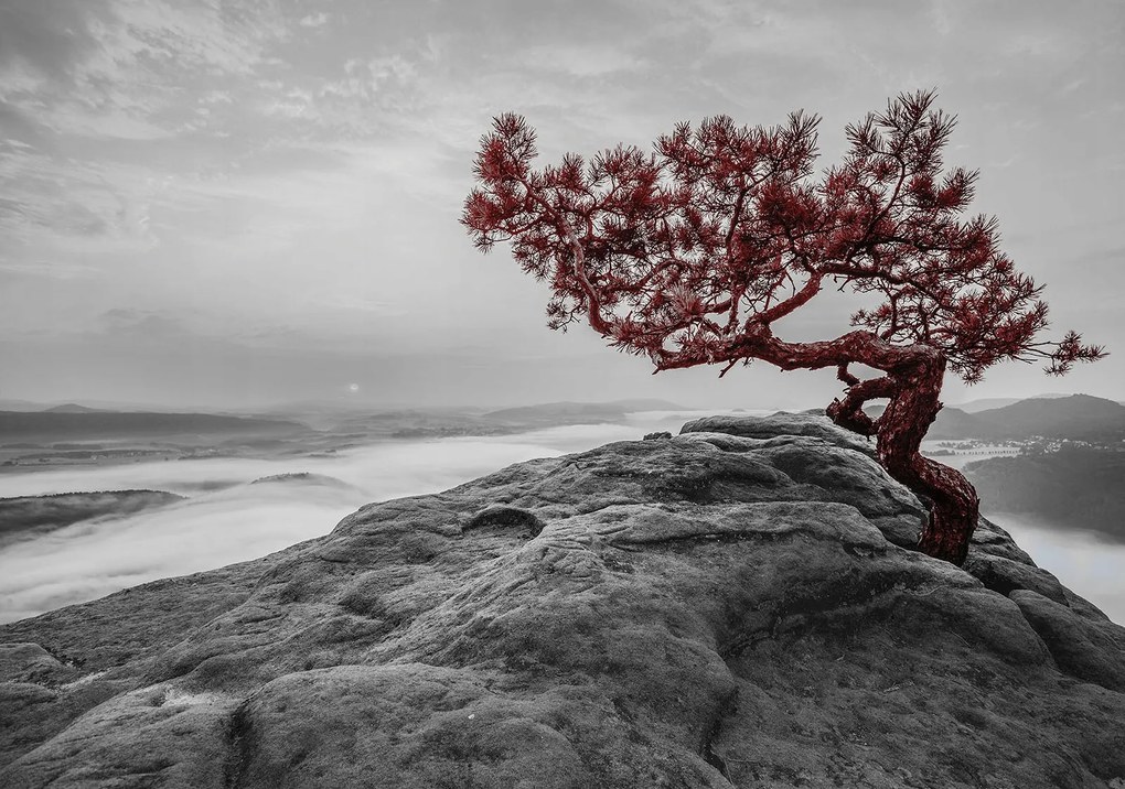 Fotótapéta Ködös táj Fa a sziklán szürke hegyek 312x219 +ragasztó