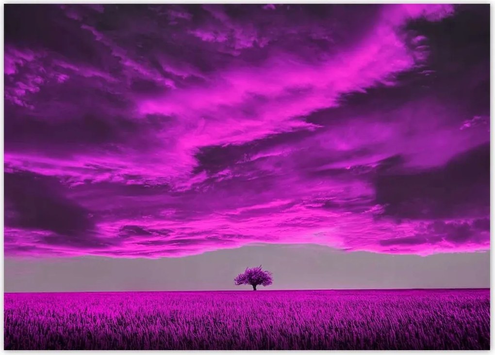 Poszterek 70x50 Lila tájkép