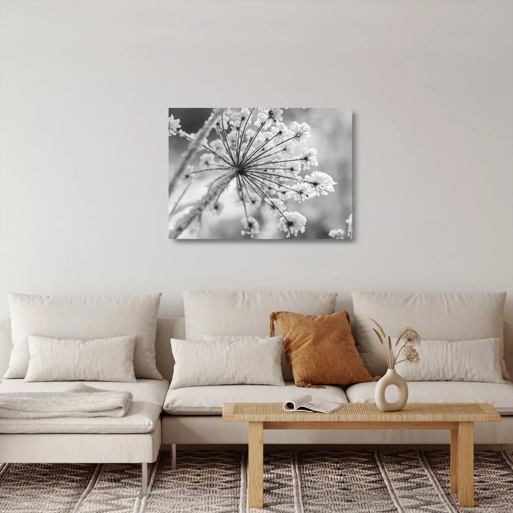 Üveg kép - Virág télen (70x50 cm)