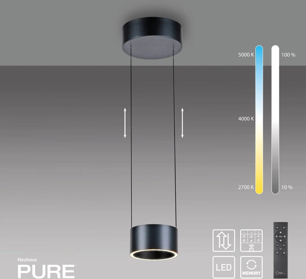 Paul Neuhaus modern függeszték pure clipse szürke pln2471-15