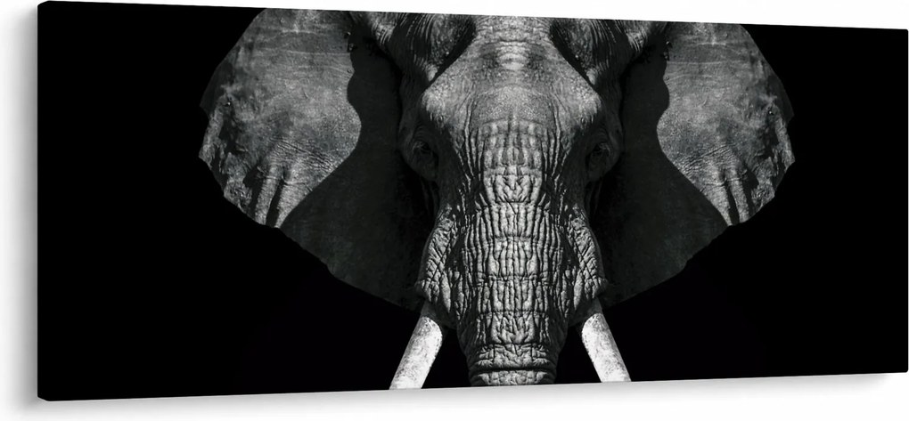 Kép - Elefánt fekete háttérrel (120x50 cm)