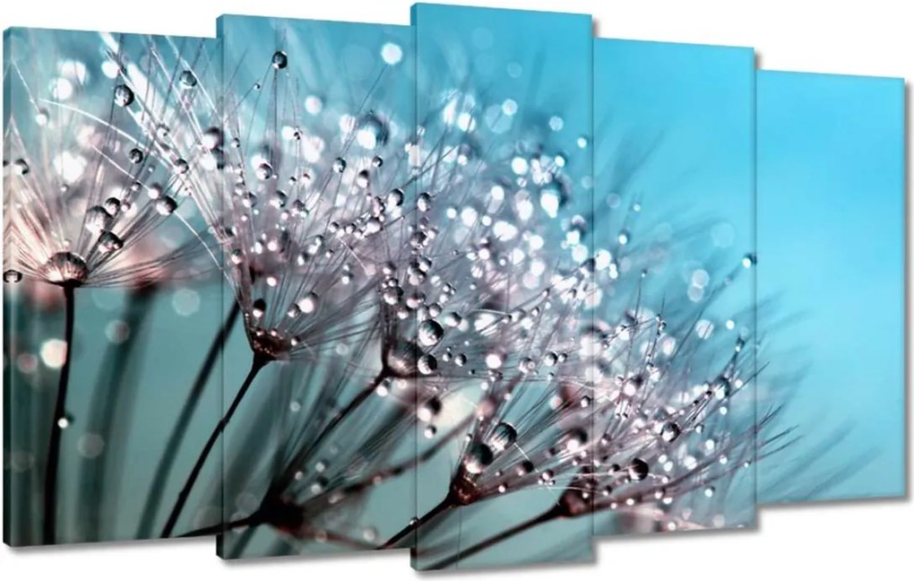 Vászonkép 100x60 Harmatcseppek Pitypang