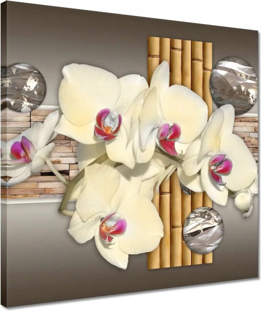 Vászonkép 40x40 Orchidea bambuszokkal