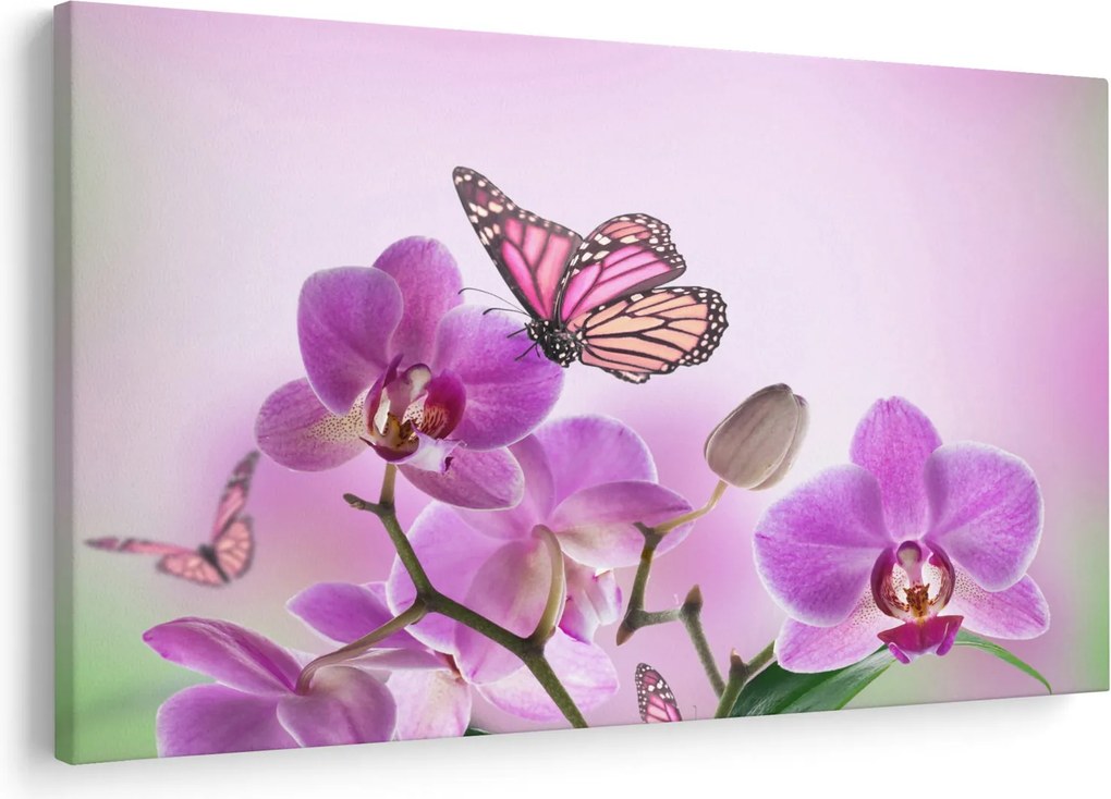 Kép - Pillangó orchidea virágon, lila (90x60 cm)