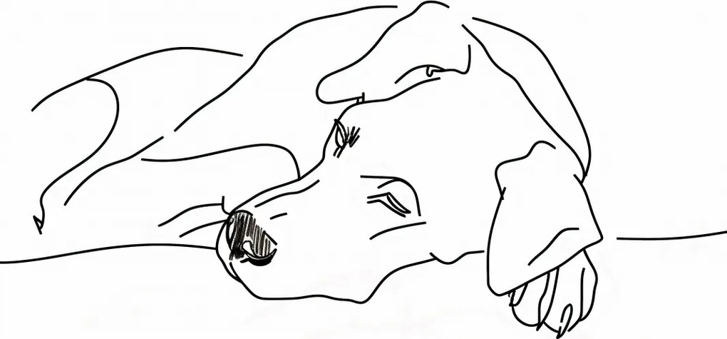 Poszter 84x59,5cm Kutya pihenés