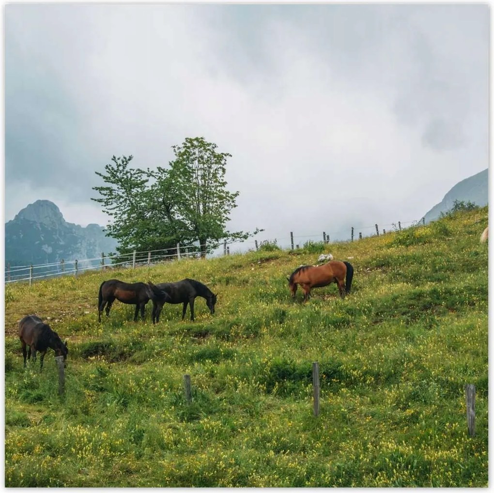 Poszterek 100x100 Tájképek Kilátások OrszágPlakátok