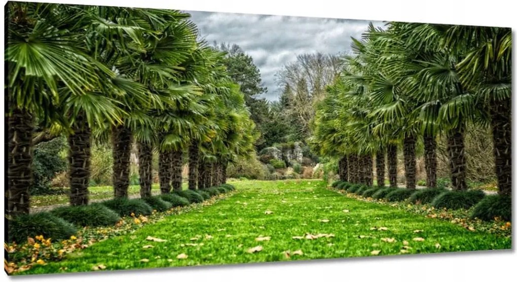 Festmények 115x55 Tájkép