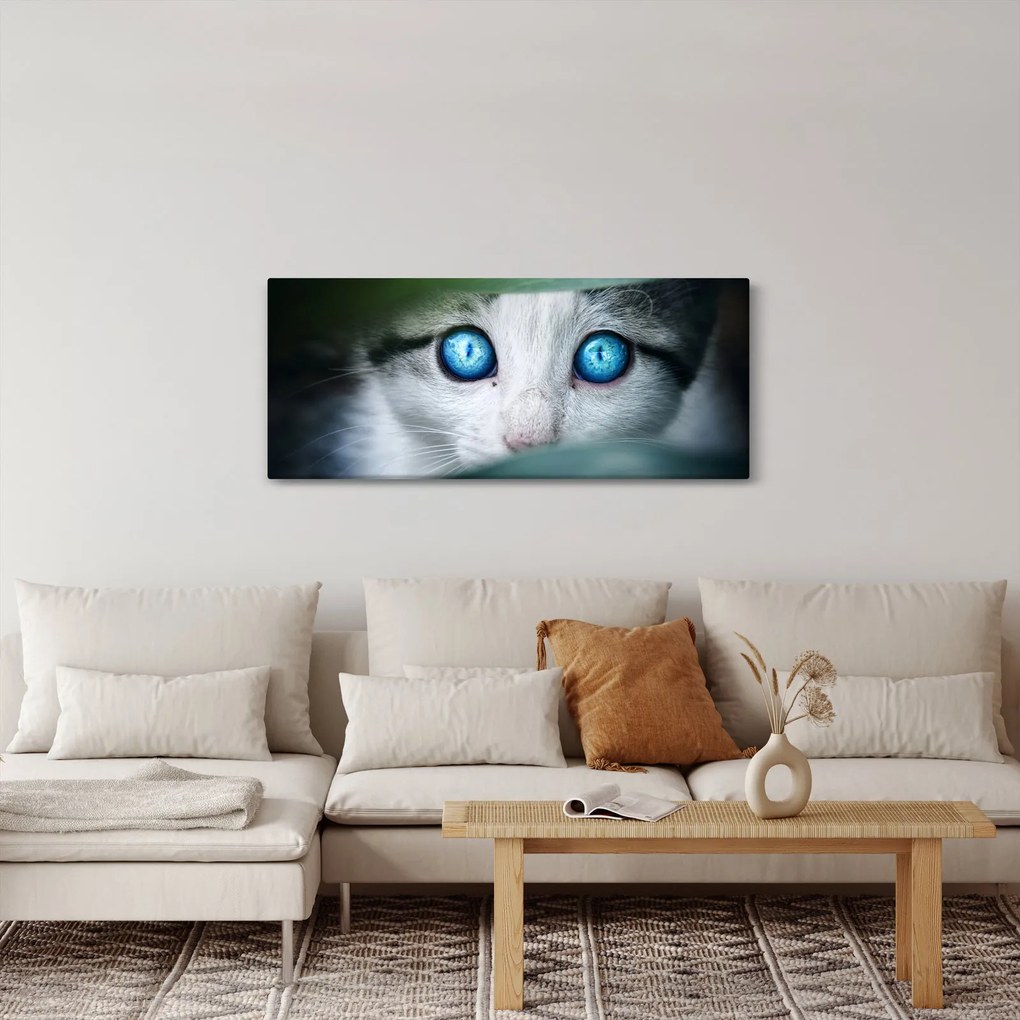 Macska képe (120x50 cm)