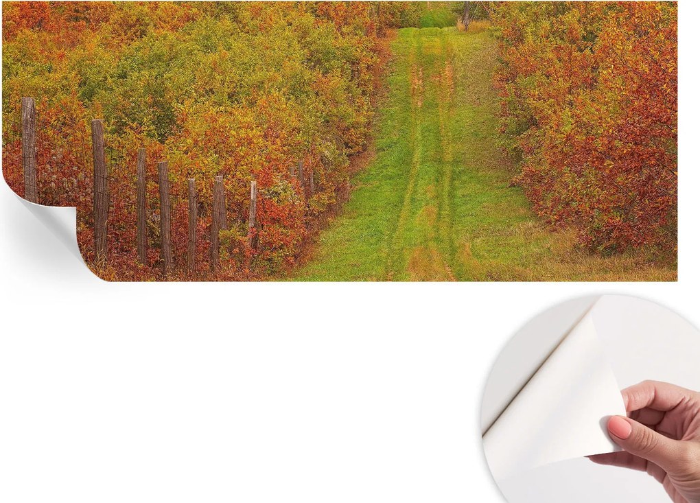 Modern öntapadós fotótapéta Mosható Őszi színek 250x104 cm