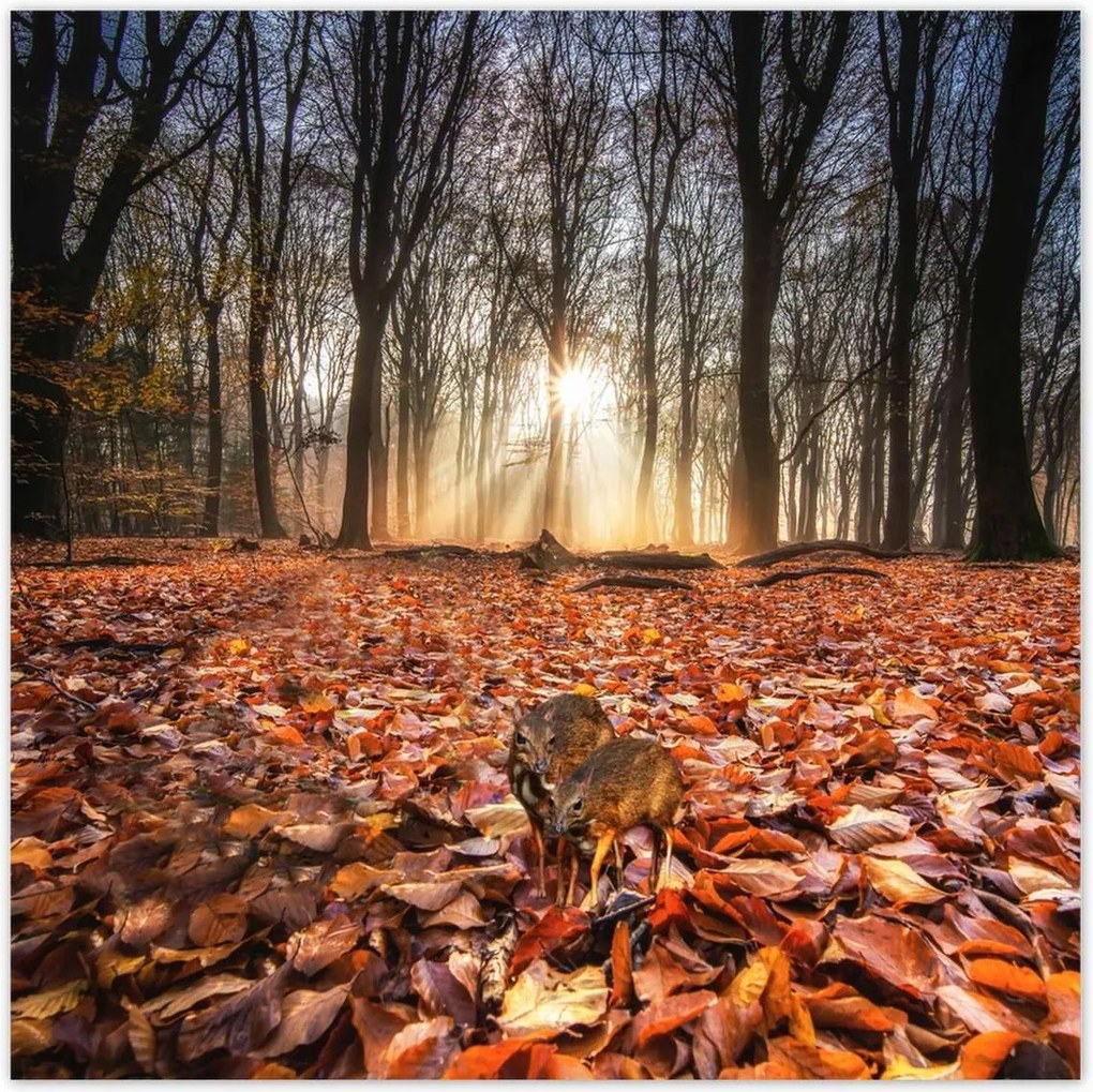 Poszterek 100x100 Veszélyeztetett