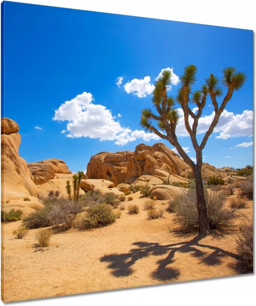 Vászonkép 90x90 Sivatagi táj