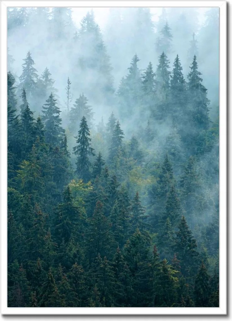 Poszter fehér keretben 50x70 Erdő a ködben Utazás