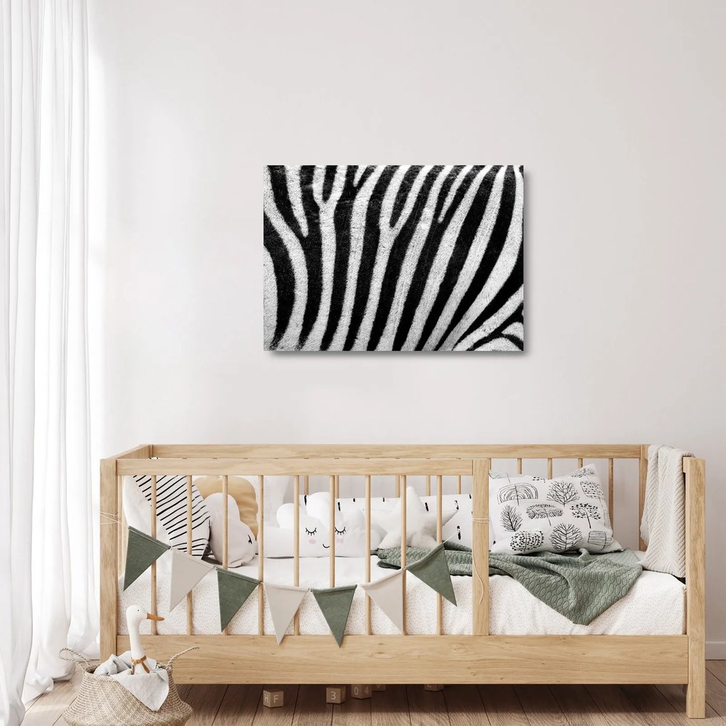 Kép egy zebra bőrről (üvegen) (70x50 cm)