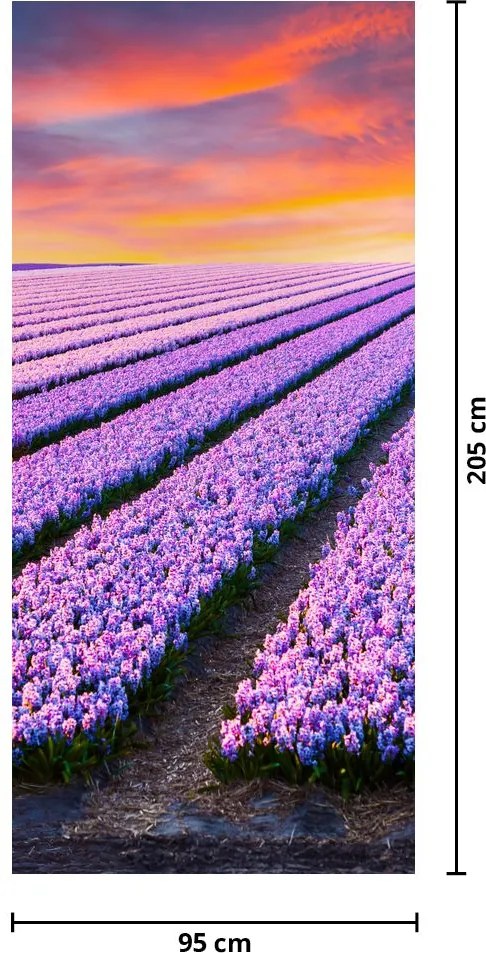 Fotótapéta ajtóra - Virágfarm (95x205cm)