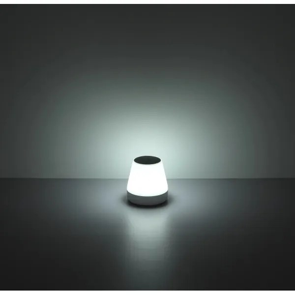 Globo 39906-18 - LED RGB napelemes lámpa LED/0,2W/3,7V IP44