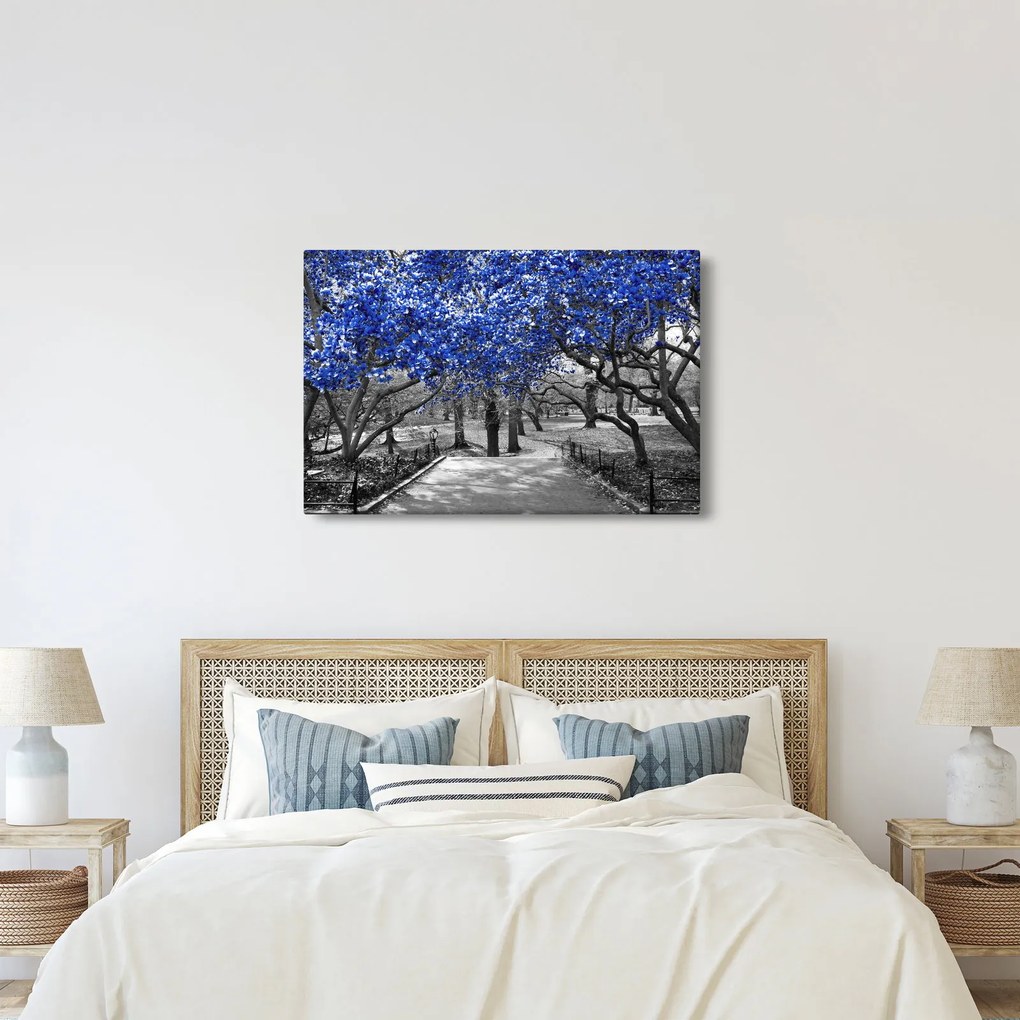 Kép - Kék fák, Central Park, New York (90x60 cm)