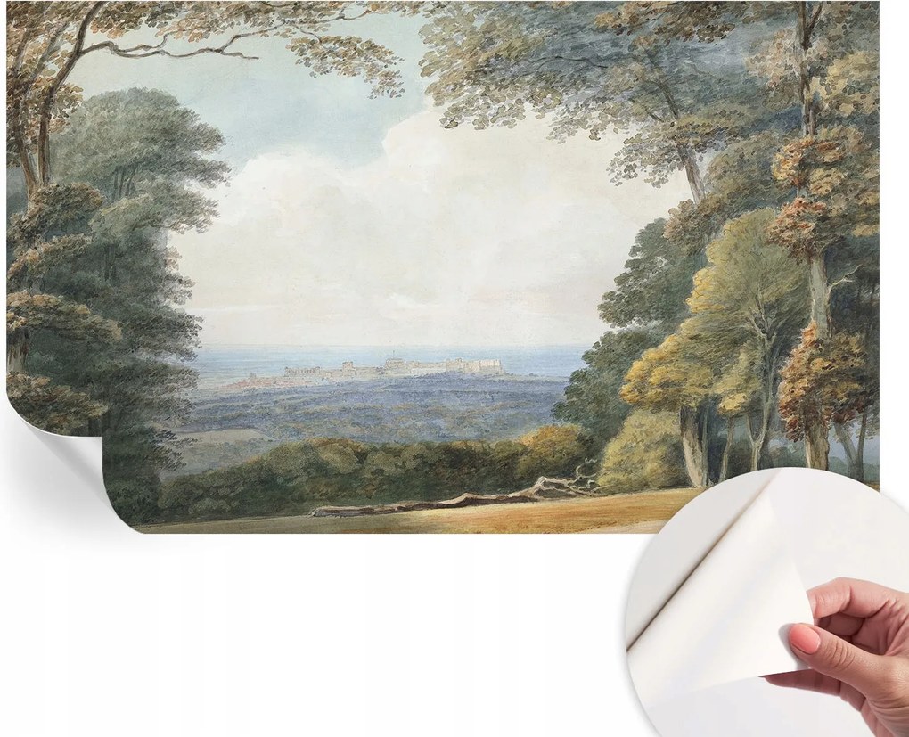 Fotótapéta Öntapadós tapéta a szobába Erdő táj 416x254 cm