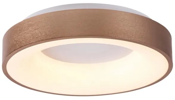 Rabalux 5053 - LED Mennyezeti lámpa CARMELA LED/50W/230V
