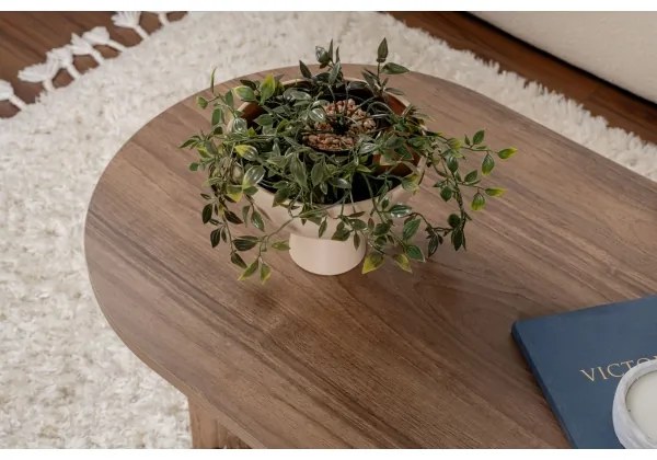 Dohányzóasztal NEL dió