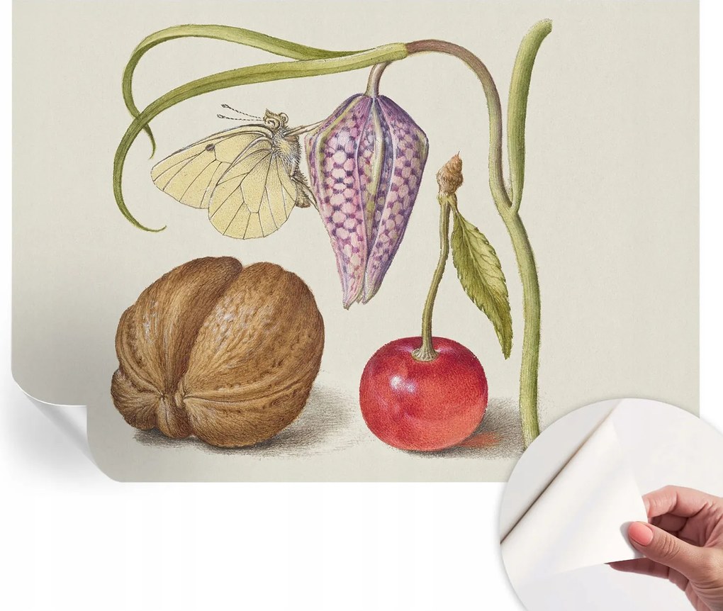 Fotótapéta Fali tapéta Hálószobába és Nappaliba Pillangó növények 208x146 cm