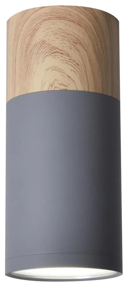 Mennyezeti lámpa TUBA GU10/15W/230V