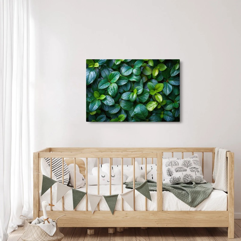 Kép - Zöld növények (90x60 cm)