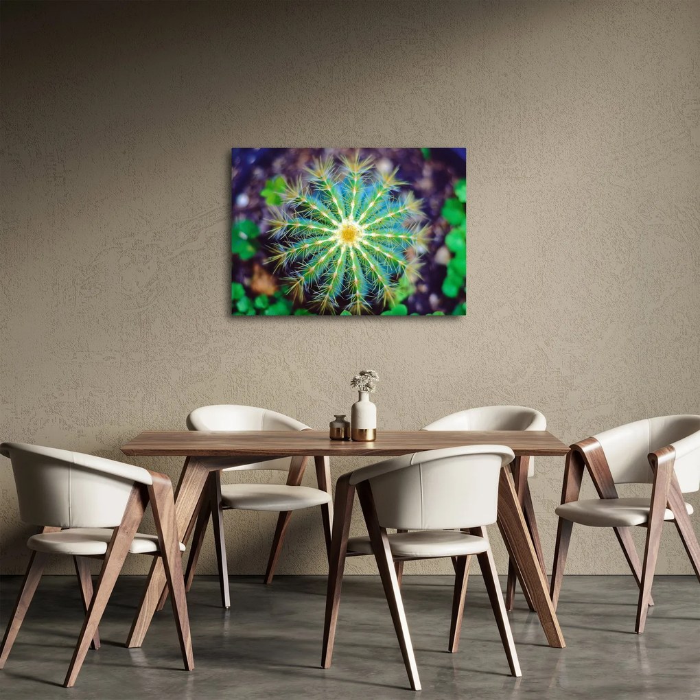 Kaktusz kép (70x50 cm)