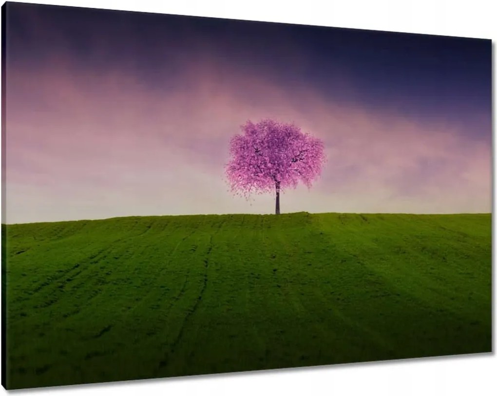 Vászonkép 100x70 Malackafa