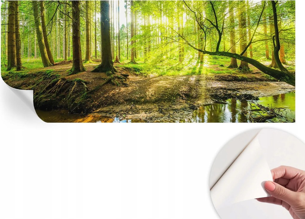 Öntapadós Mosható Fali Fotótapéta Zöld táj 250x104 cm