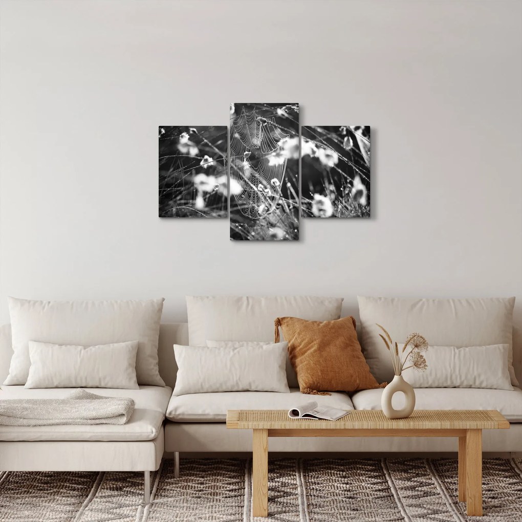 Kép - Pókháló a réten (90x60 cm)