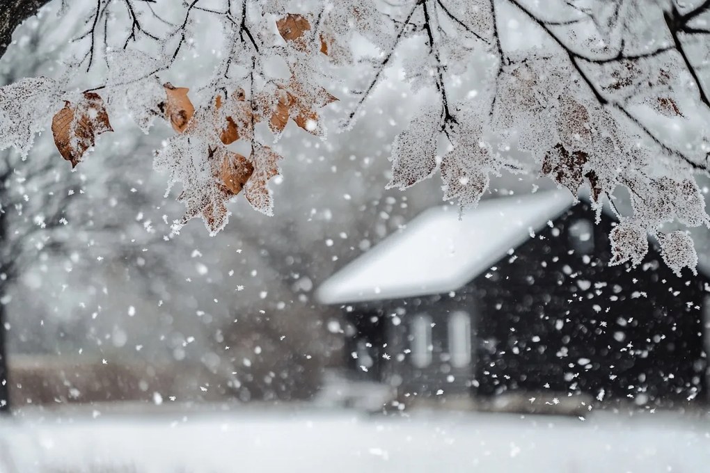 Vászonkép Canvas Tájkép Ház Fa Tél Hó Dér Jég Fagy 60x40
