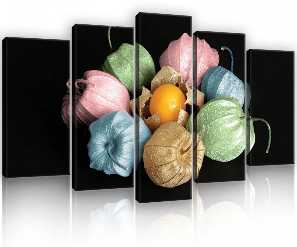 Vászonkép 5 darabos, Szárított virággumó színesben 100x60 cm méretben